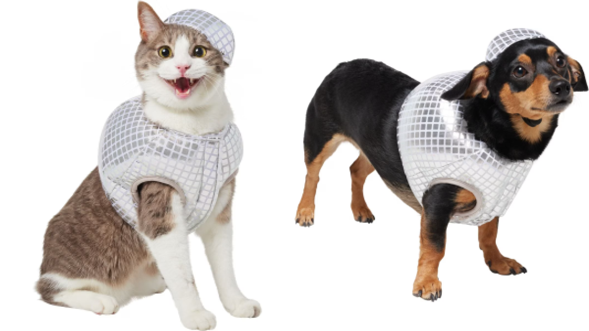 Pet costume