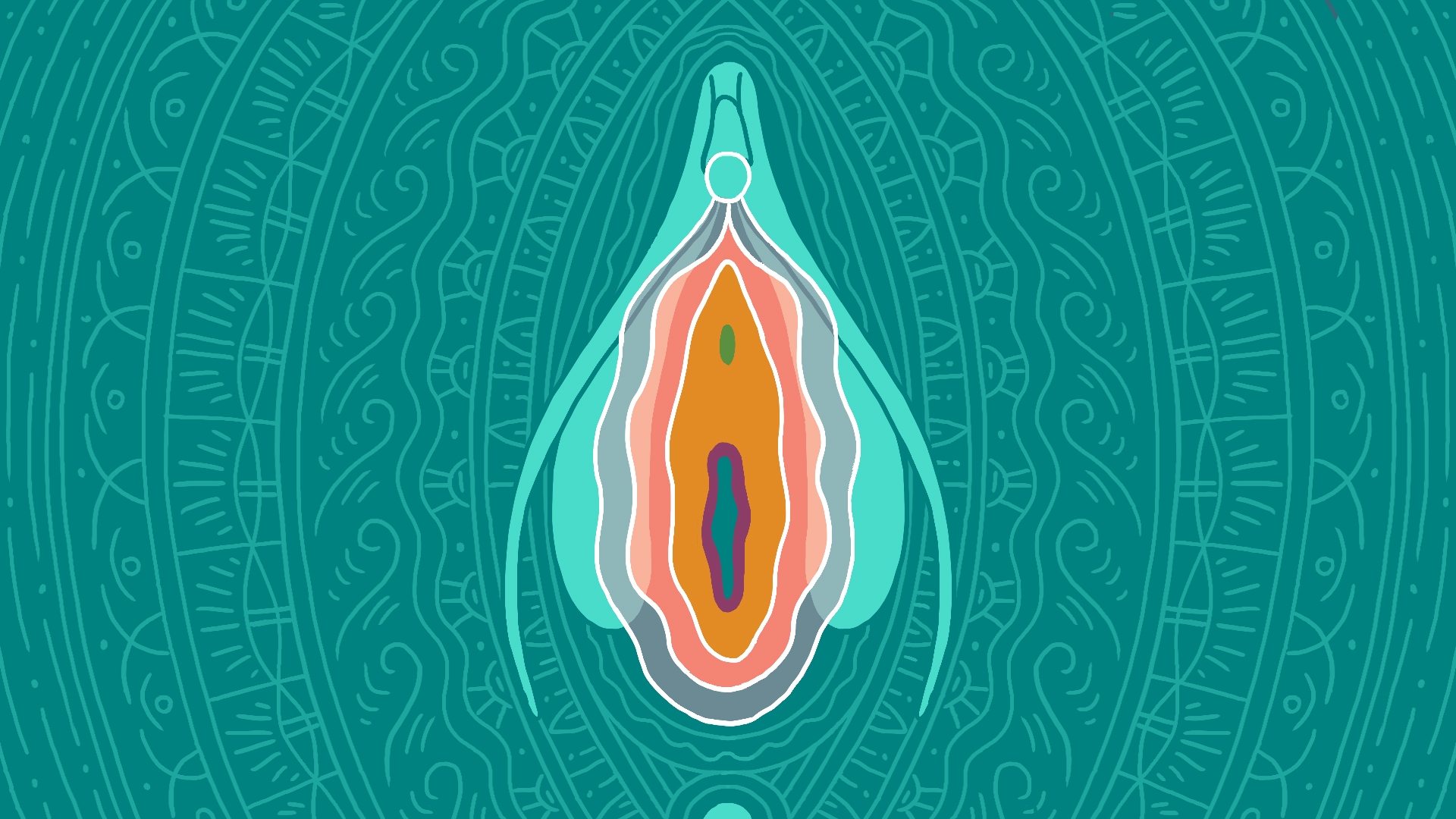 Illustration of the vulva, including the vagina, labia, and clitoris