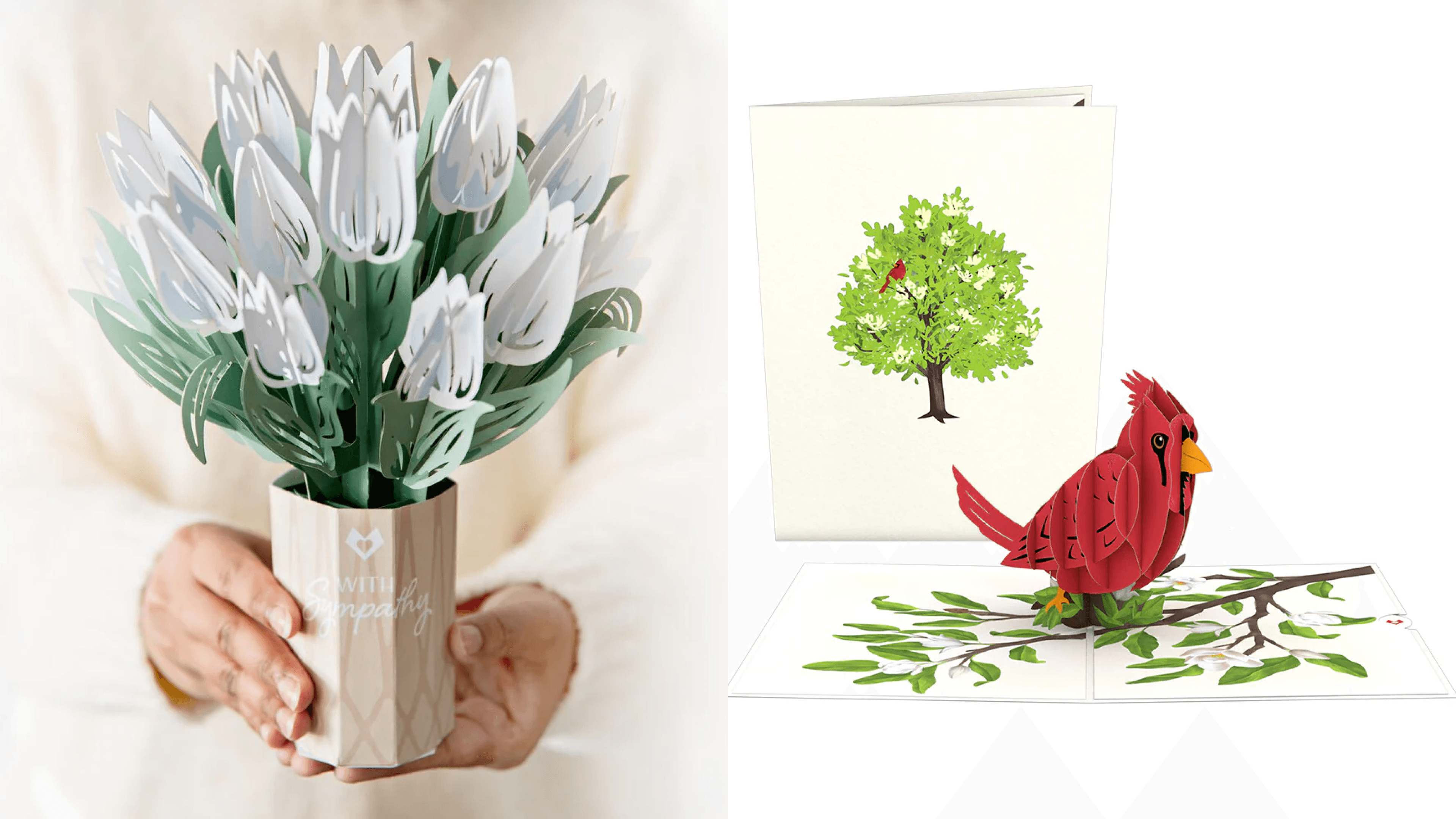 lovepop sympathy cards