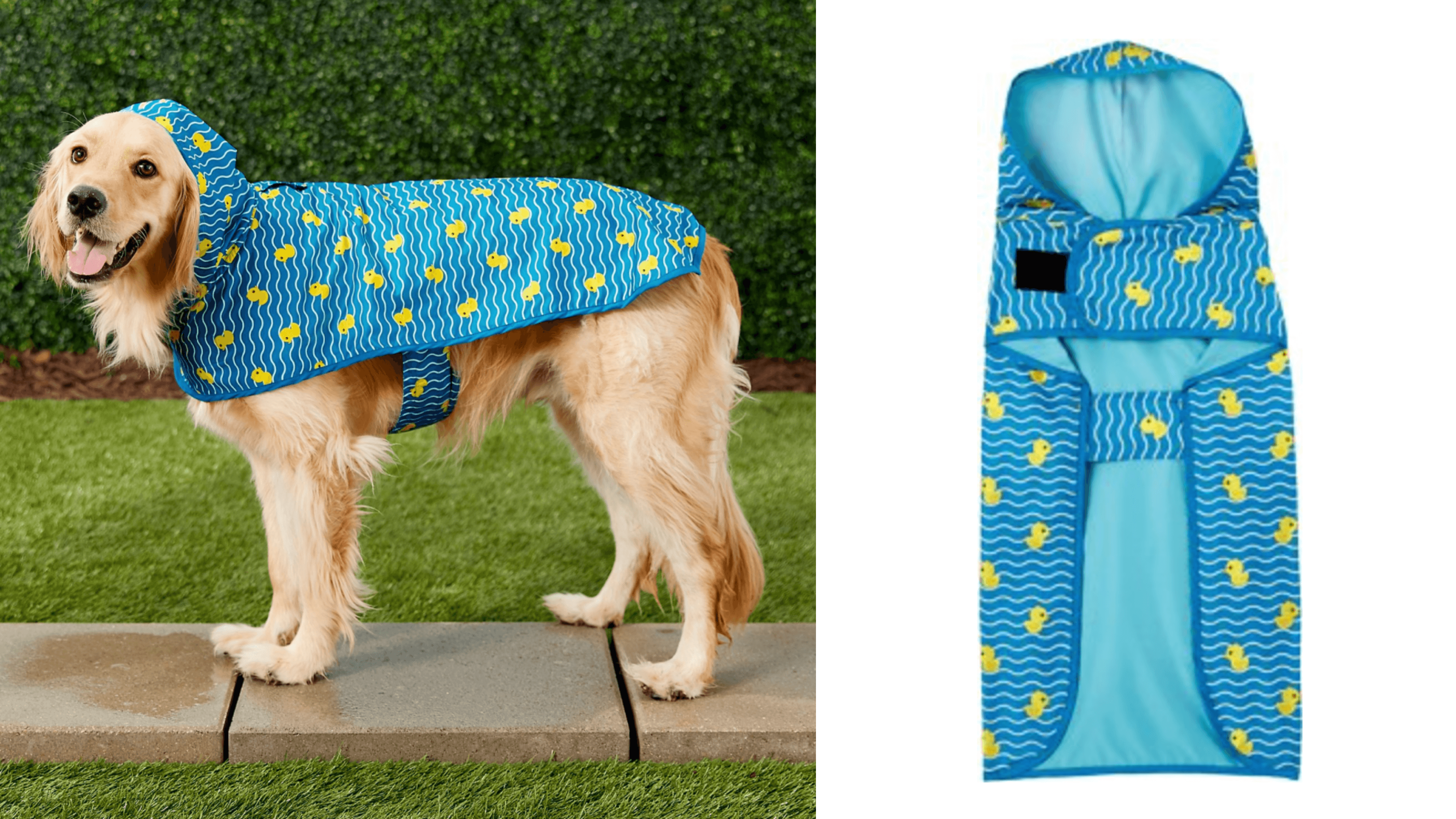 rubber ducky patterned dog rain coat