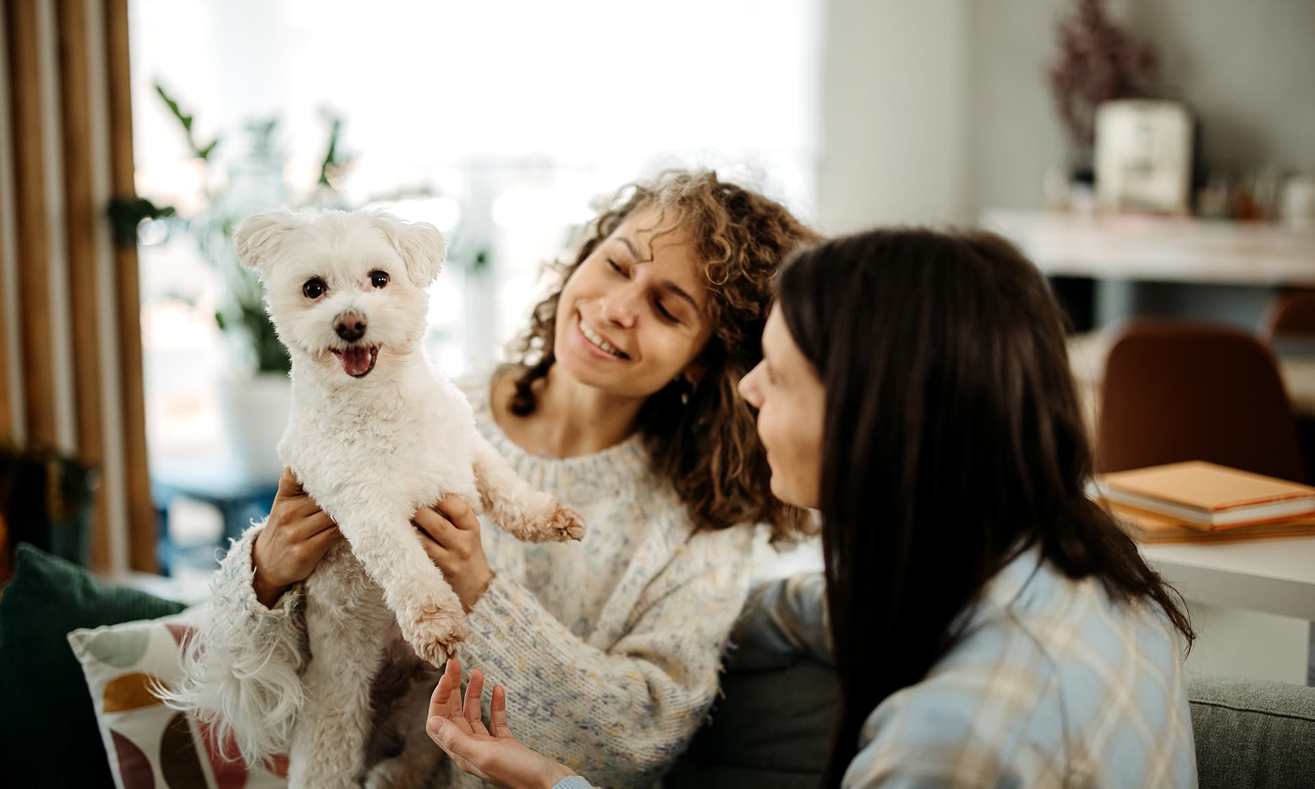 Two female friends hangout out at home with dog