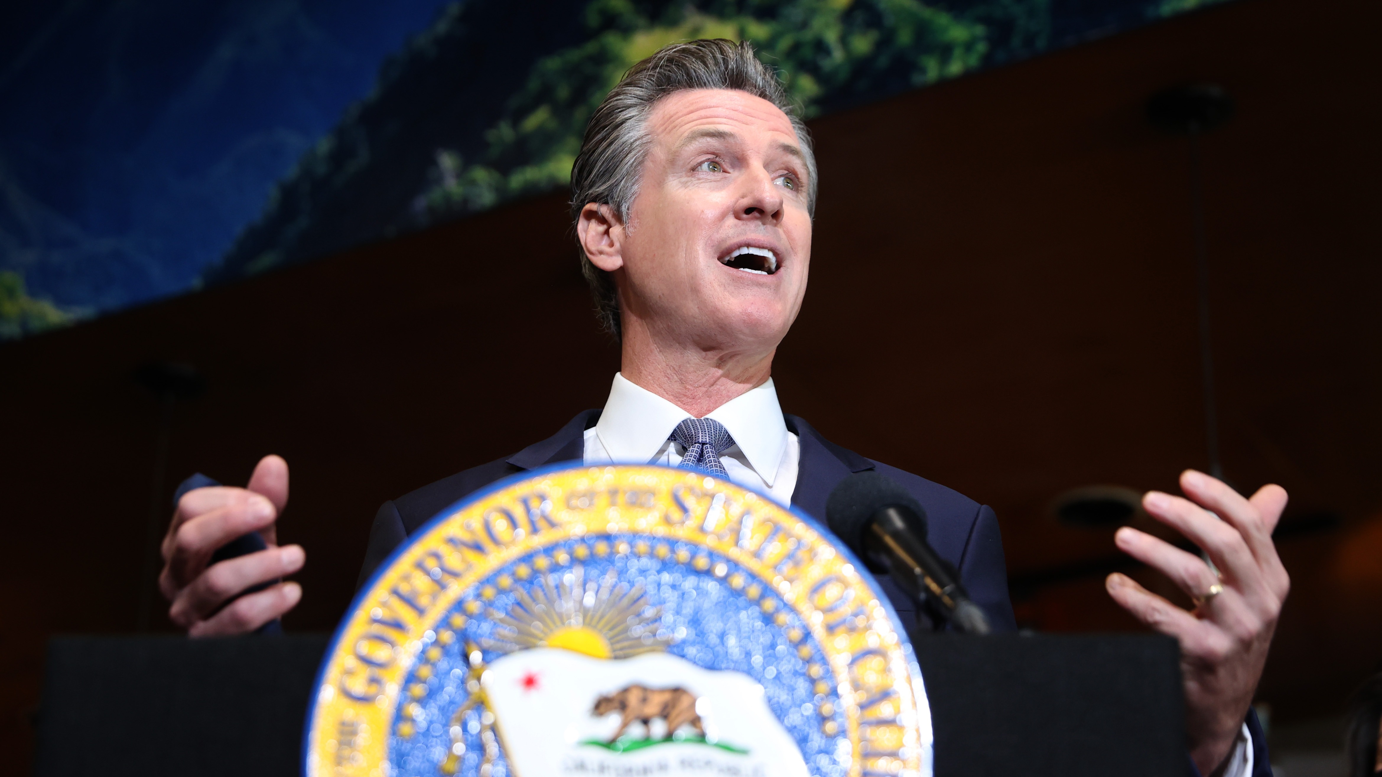 California Gov. Gavin Newsom speaks during a news conference