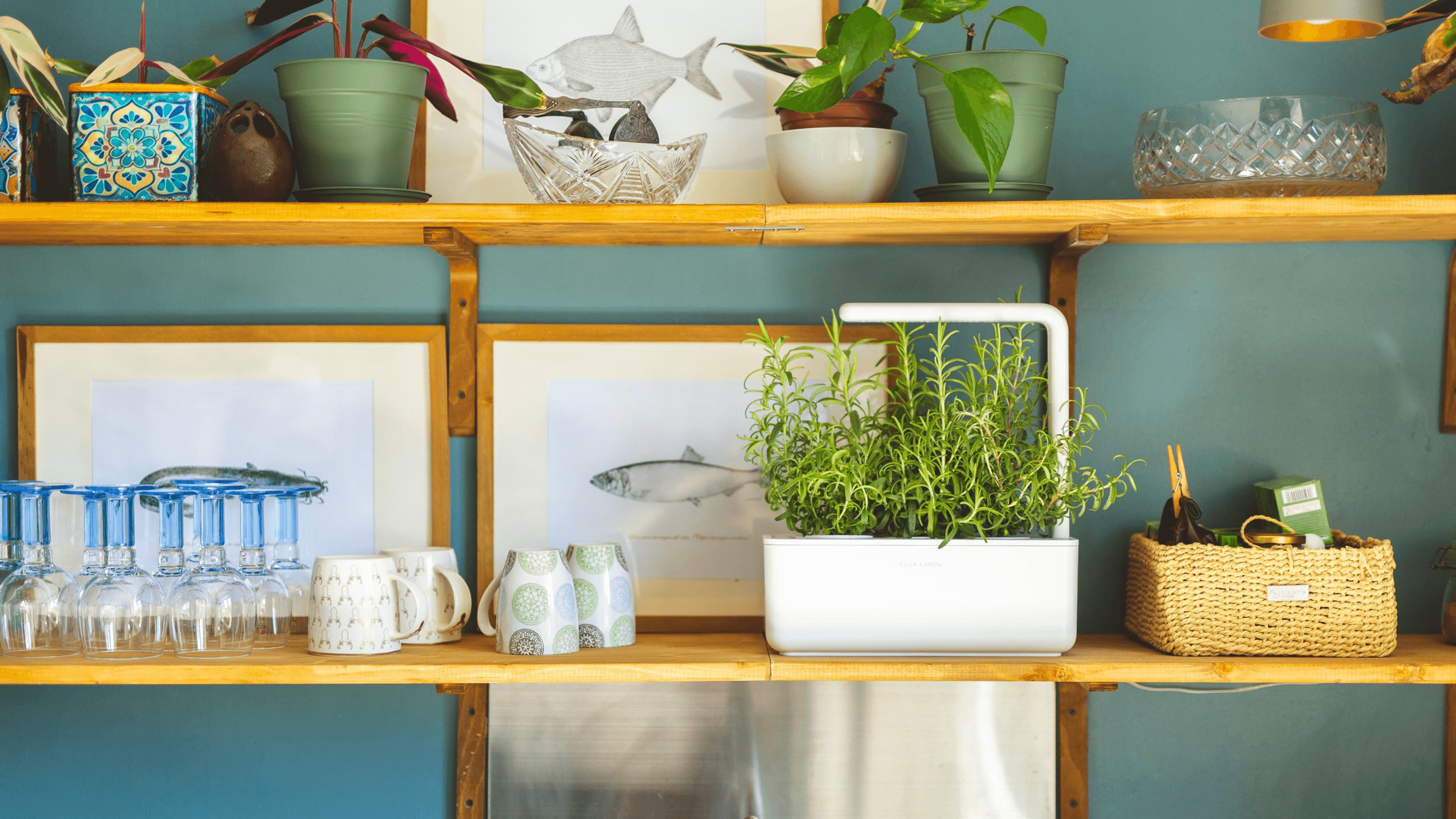 smart garden for growing herbs and spices