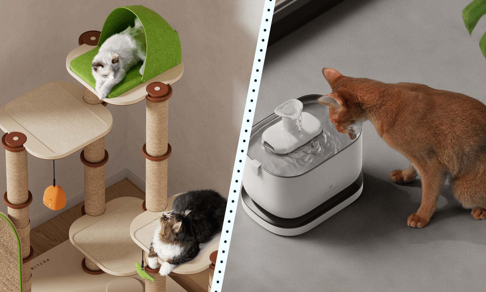 Petlibro Cat Products