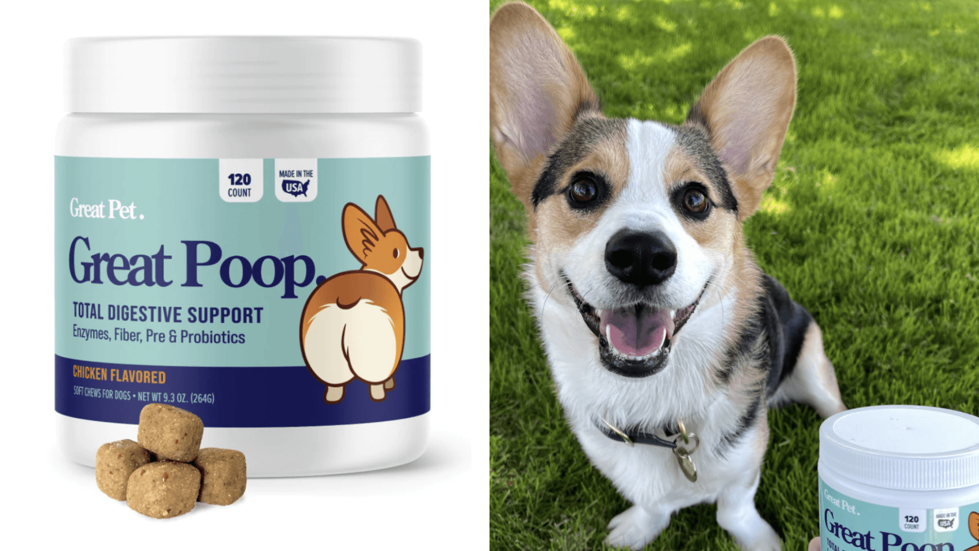 Great pet poop supplements