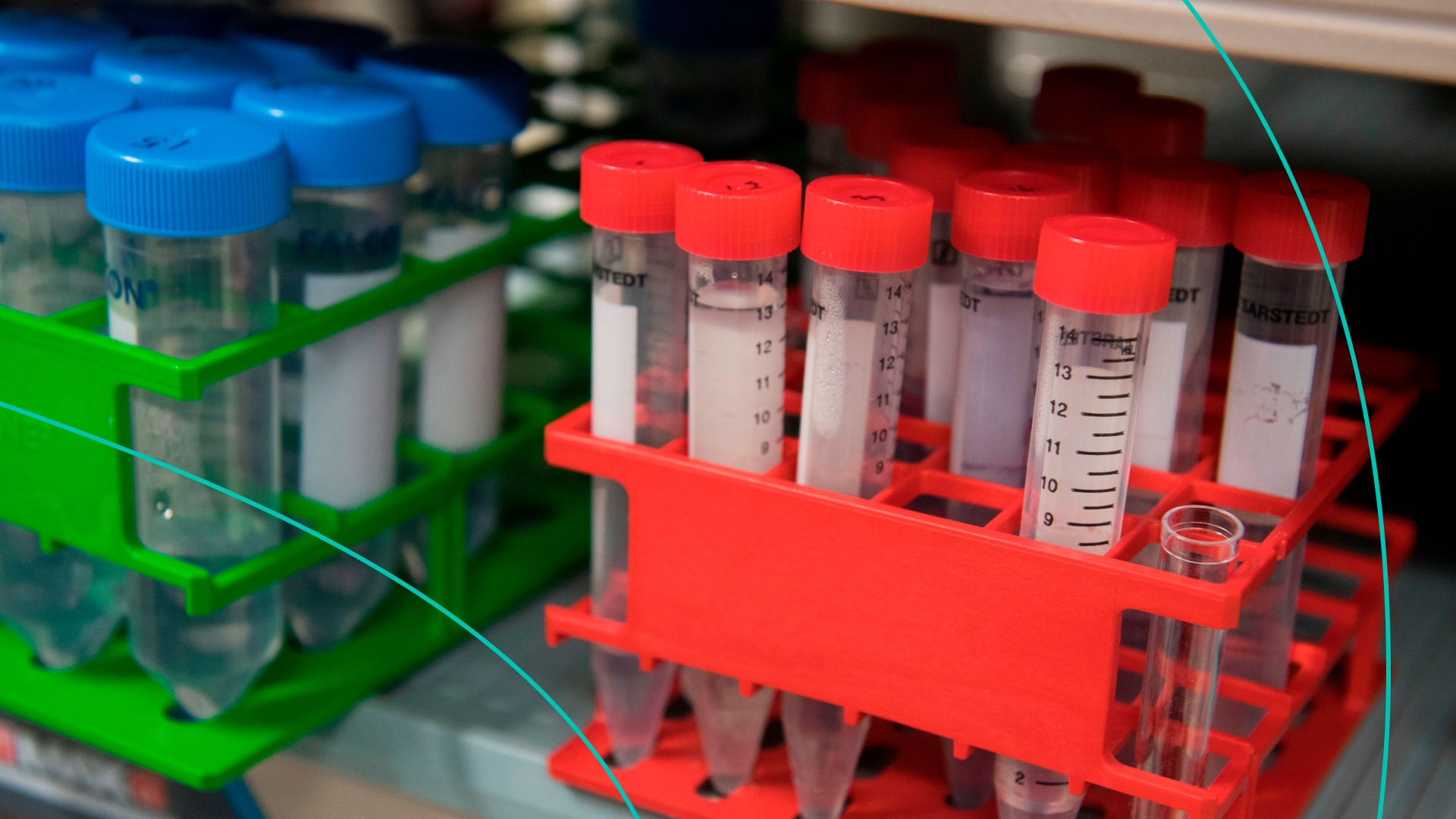 Test tubes are seen in the lab of Dr. Christian Hinrichs, an investigator at the National Cancer Institute in immunotherapy