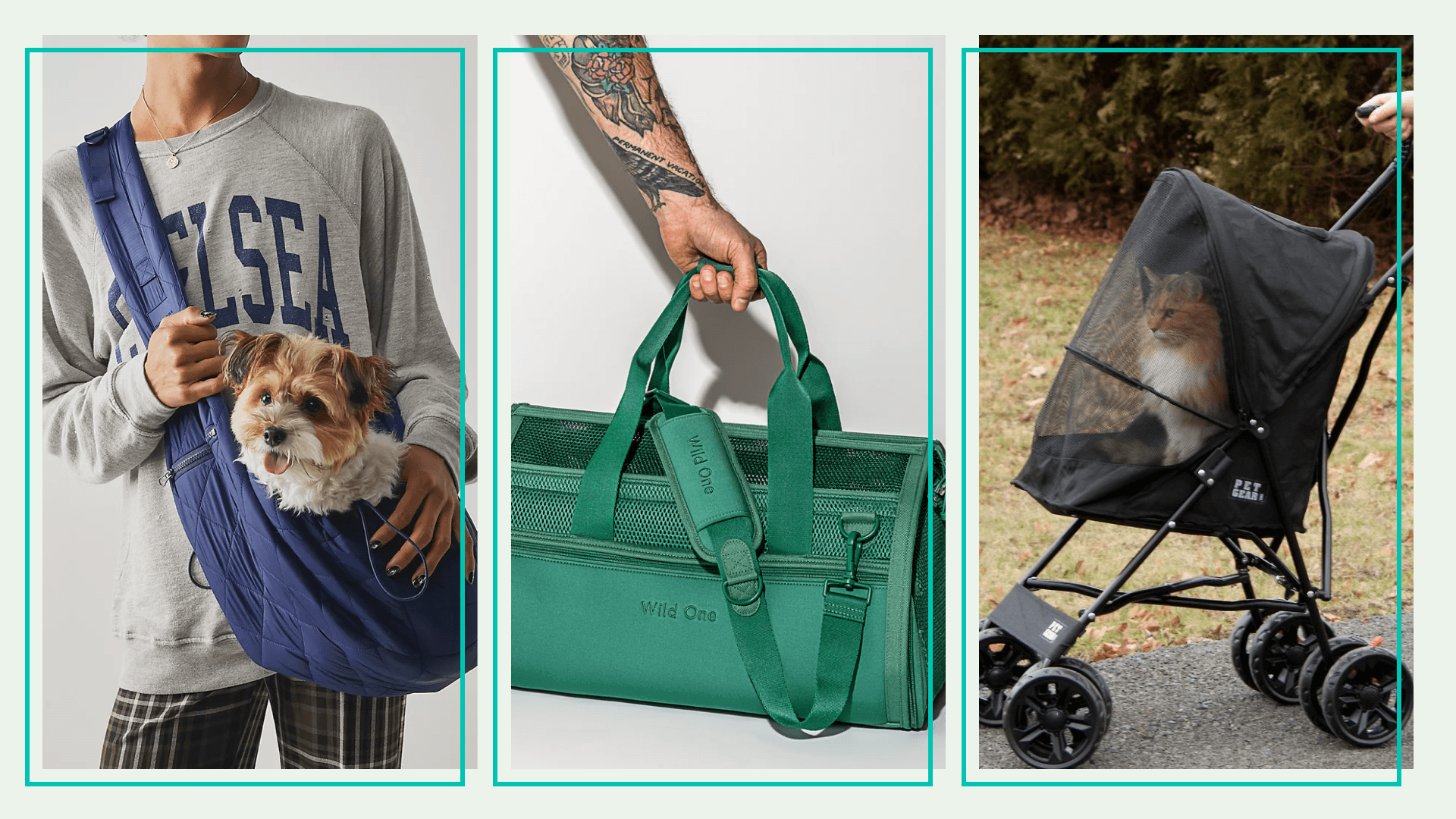 Pet carriers and pet strollers