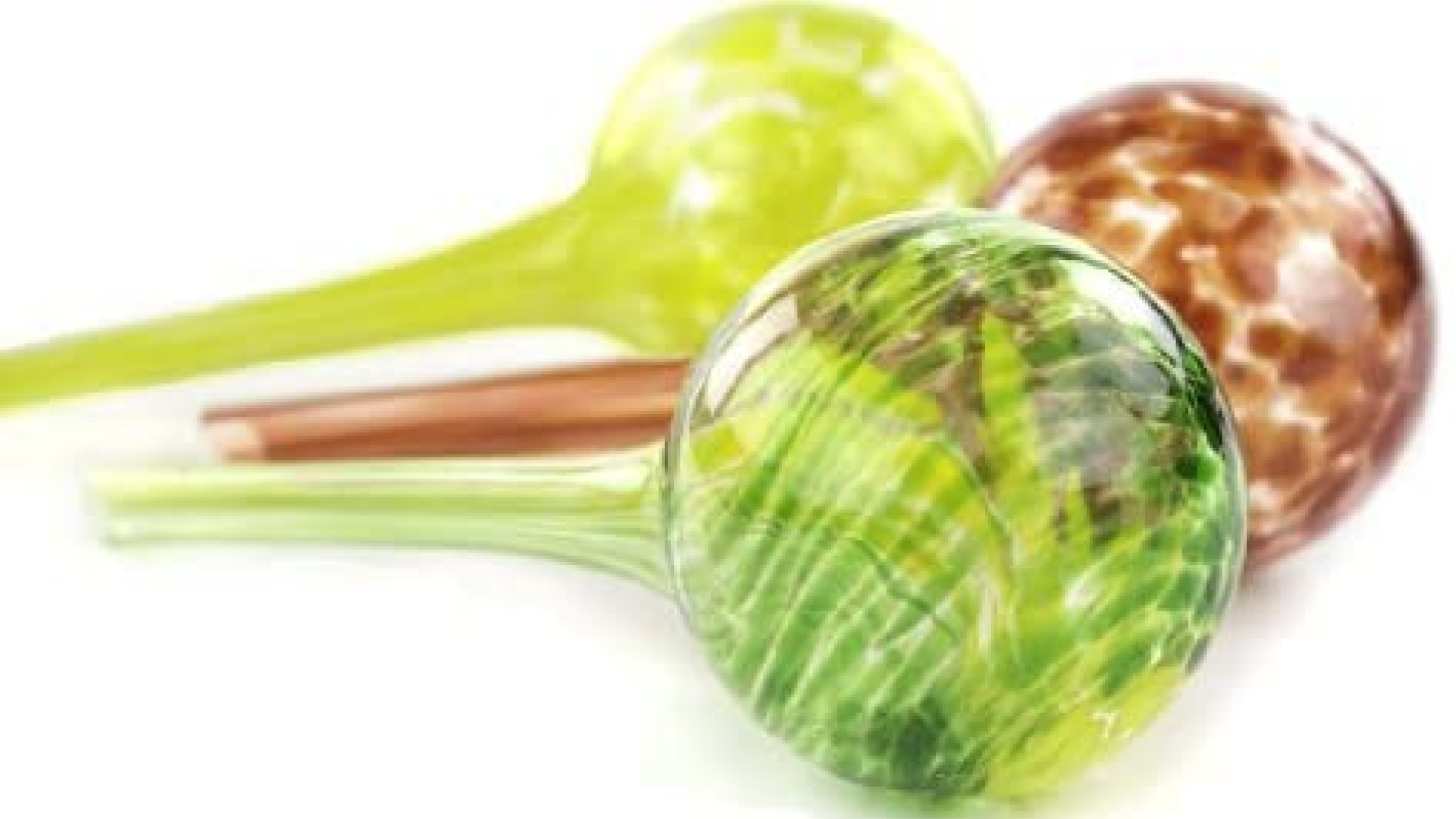 Amazon watering globes