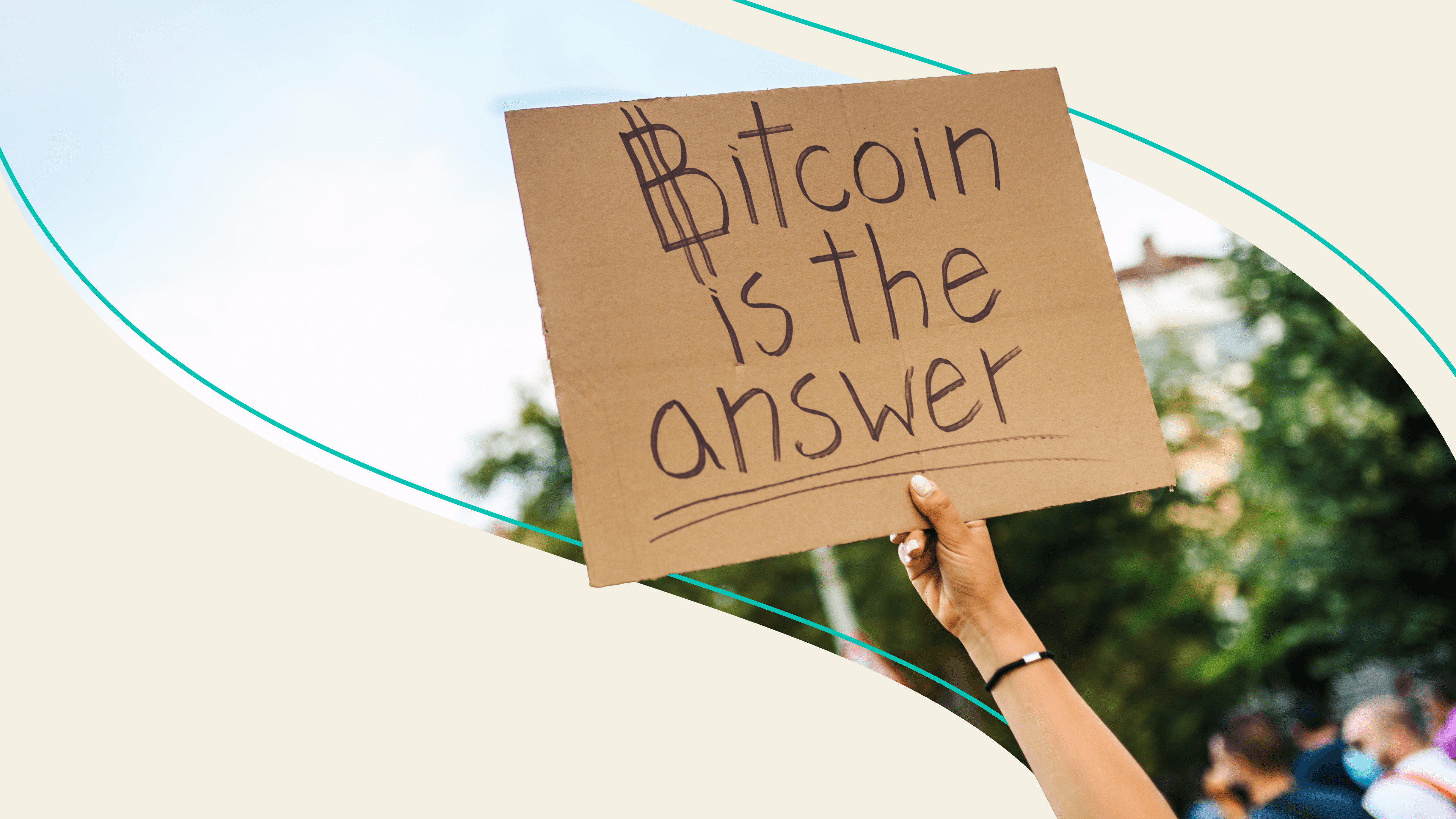 why people are obsessed with crypto