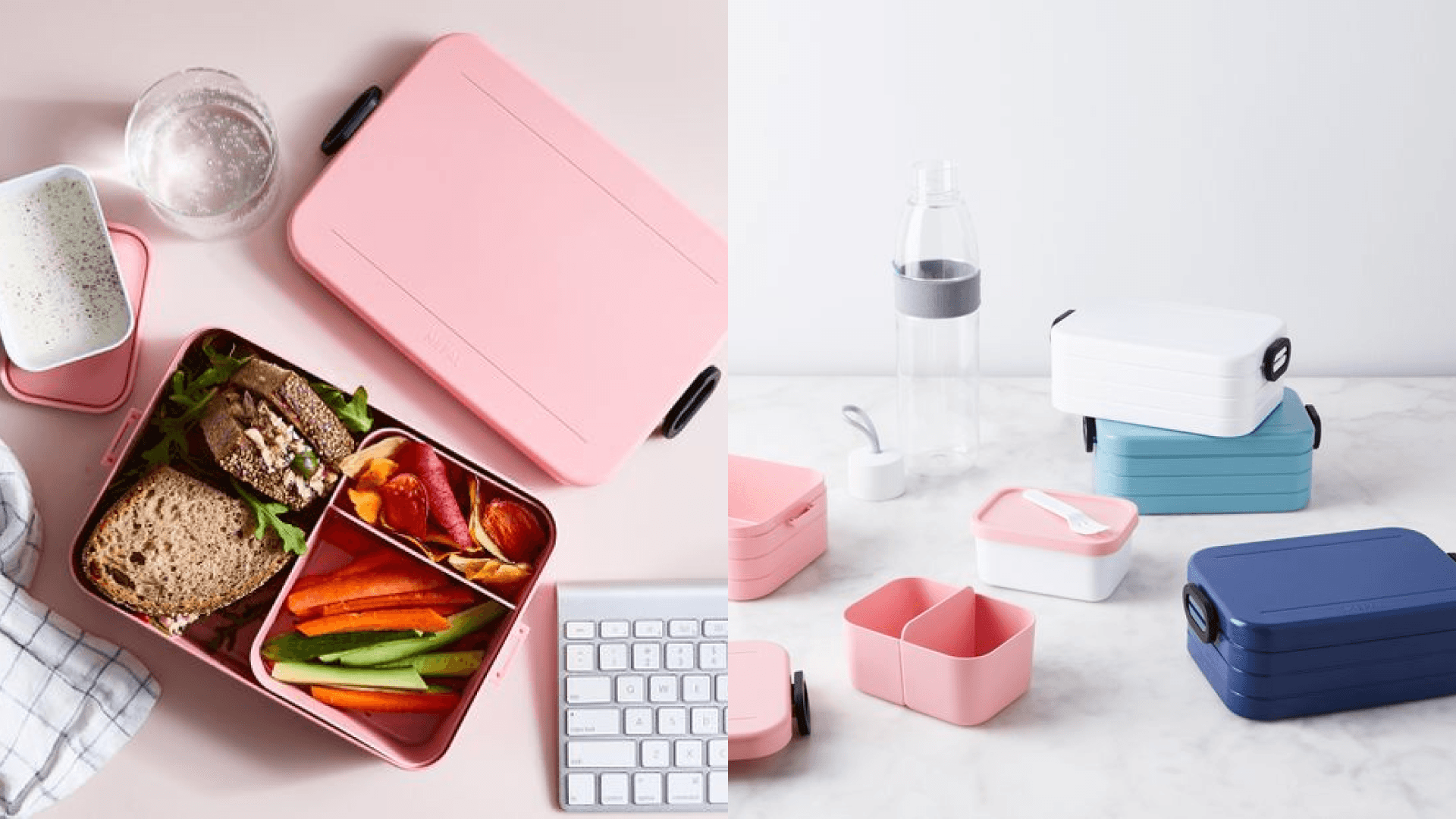 Modern bento box in pastel colors