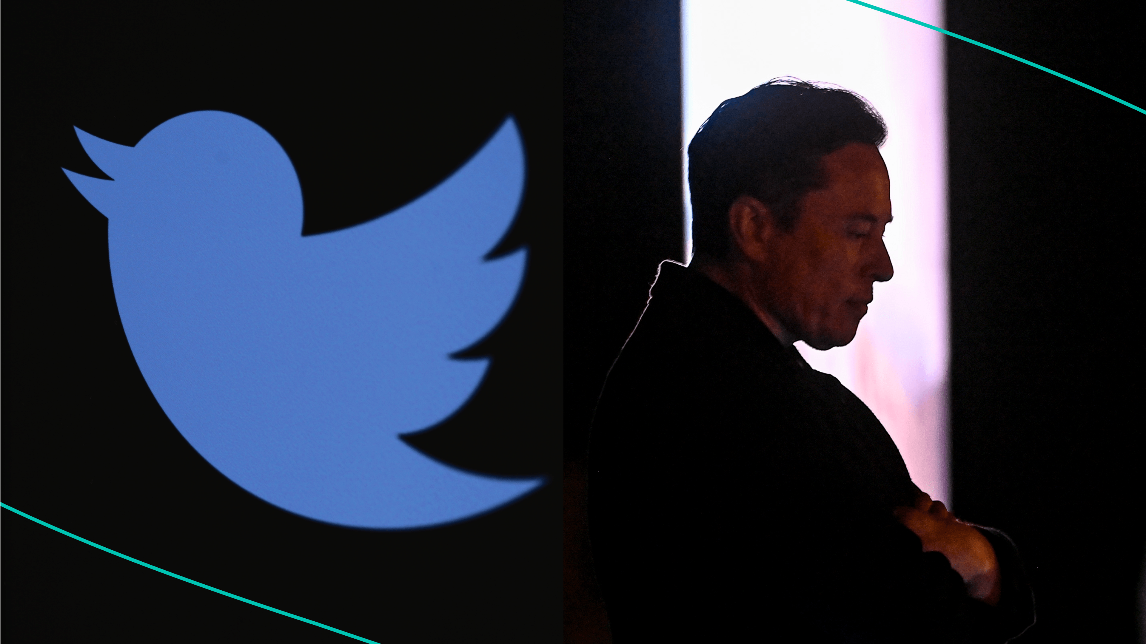 Outline of Elon Musk set against Twitter logo