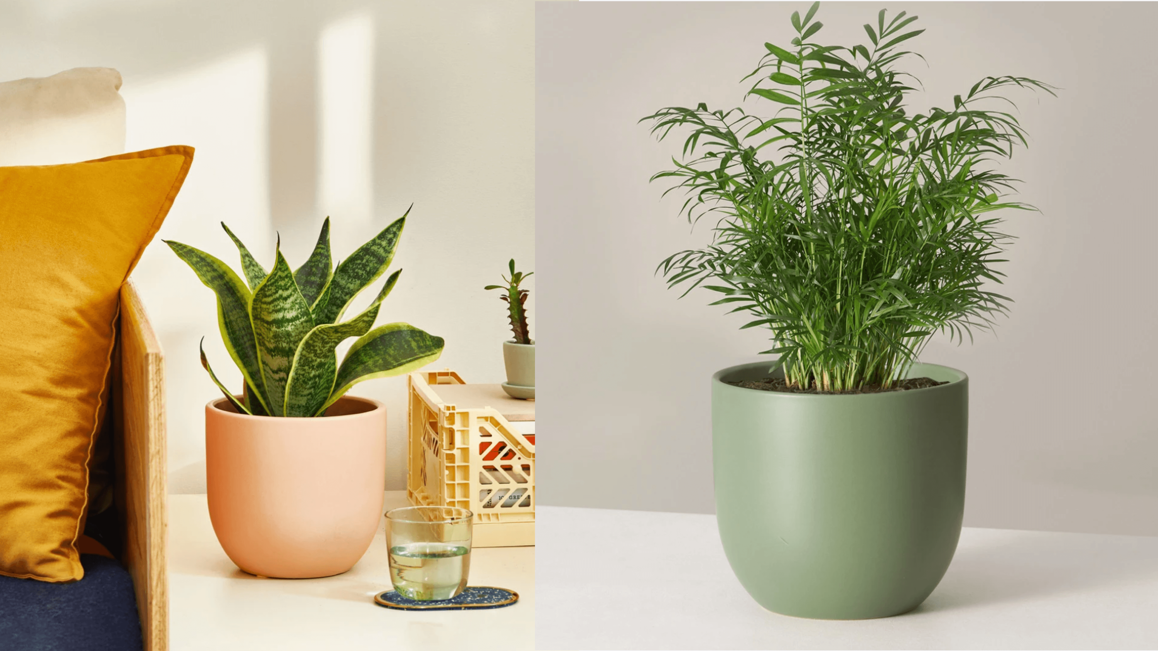 labor day weekend sales from the sill