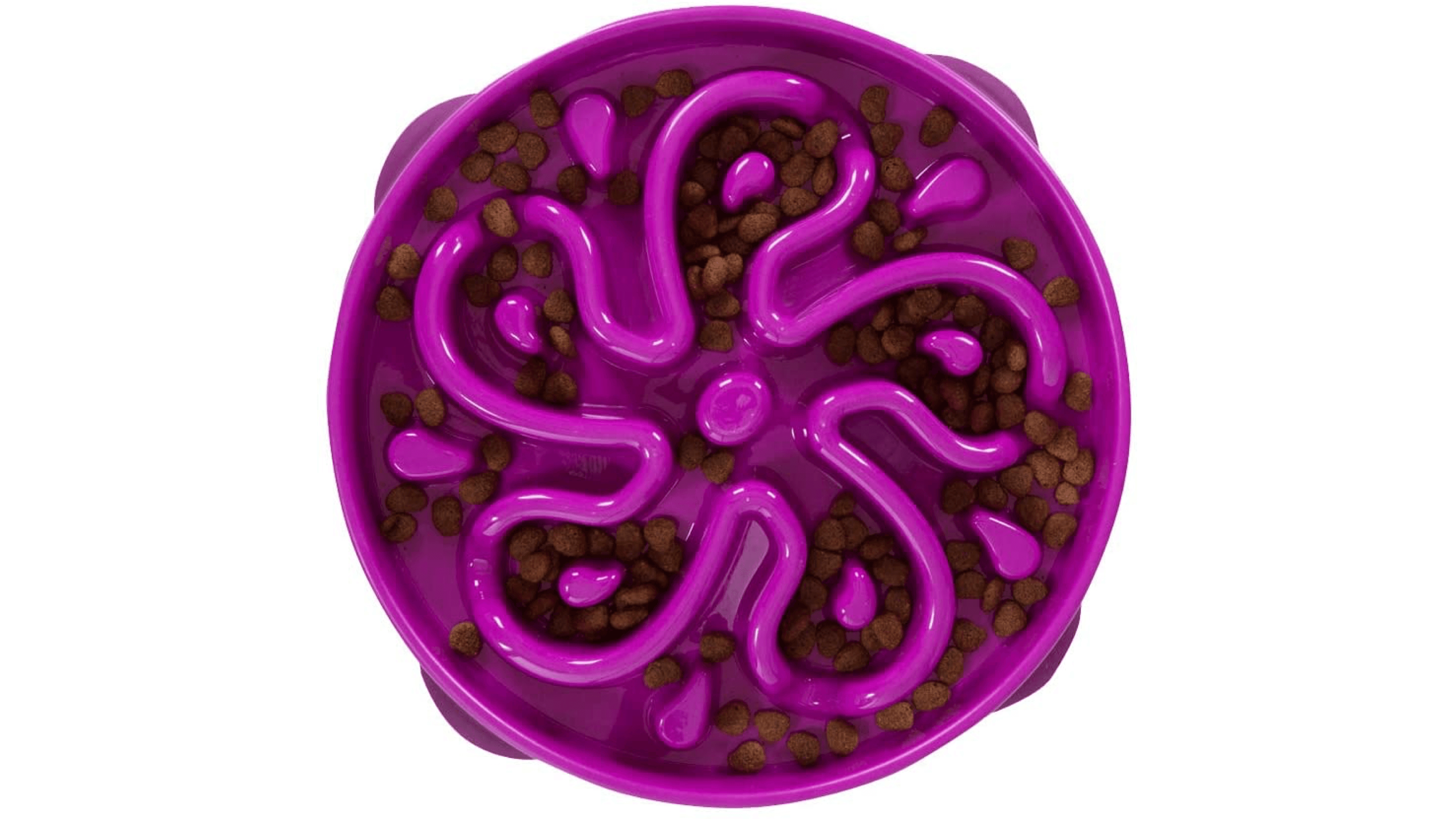 slow feeding maze bowl for dogs that eat their food too fast