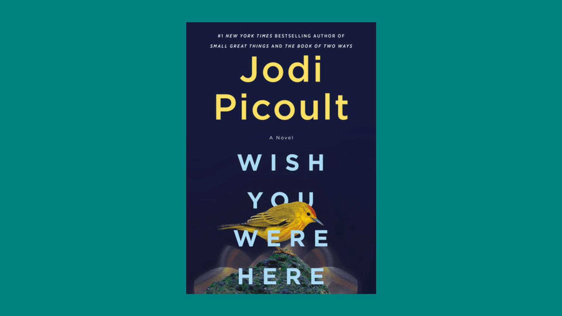 “Wish You Were Here” by Jodi Picoult