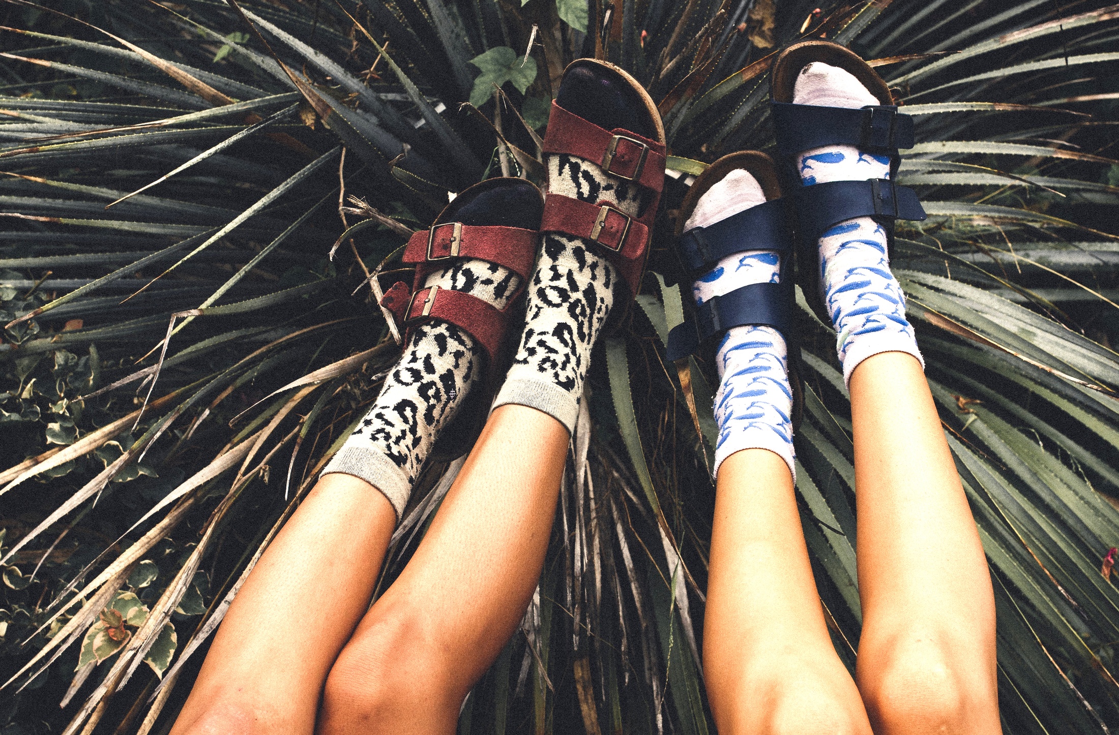 Featured image for Can you wear out your Birkenstocks, or are they totally invincible? A podiatrist weighs in.