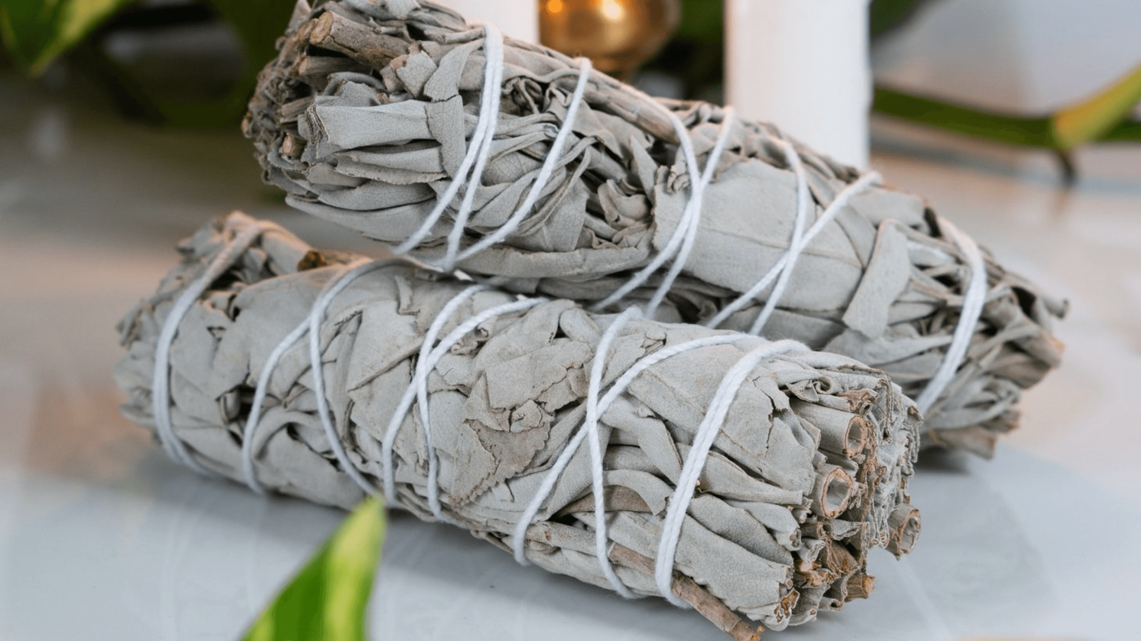 sage smudge stick