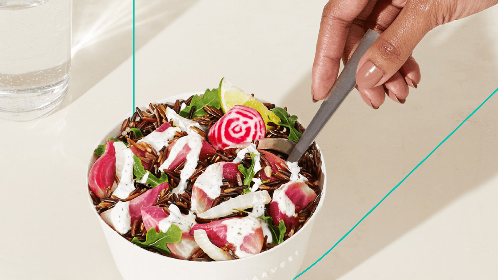 Daily Harvest 'ice cream' on blue background