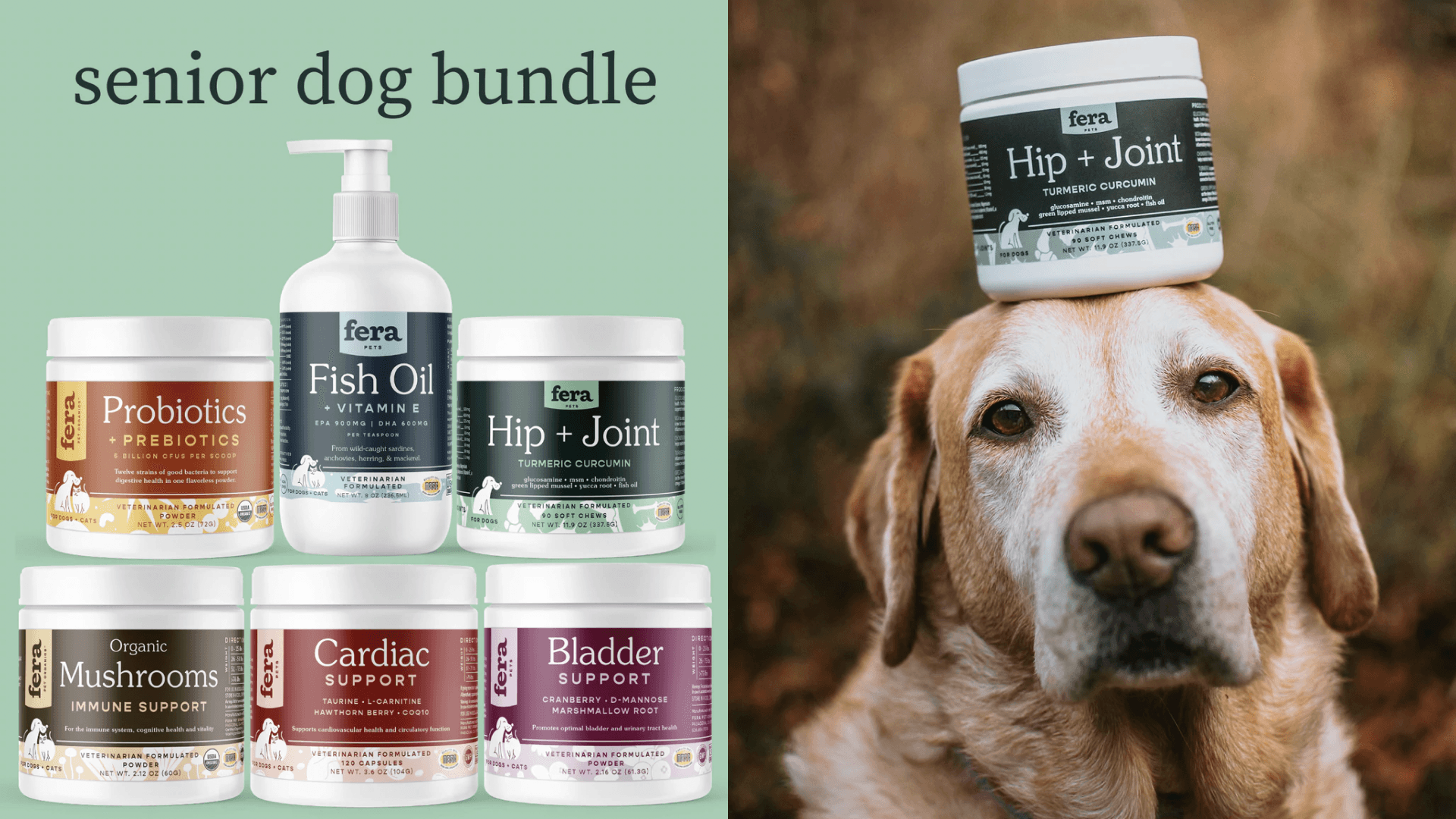 Senior dog supplements