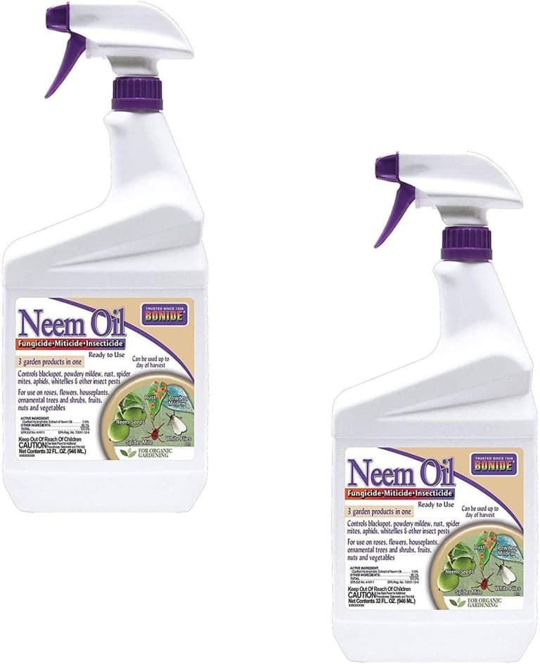 Bonide Neem Oil