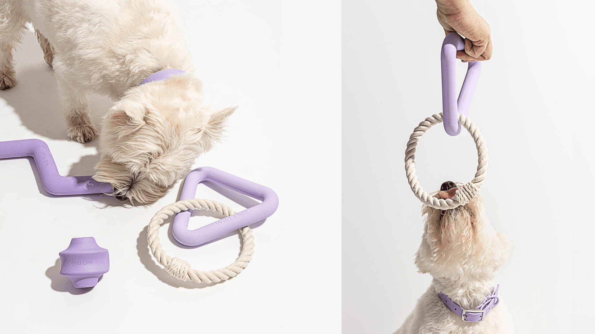 A dog toy kit
