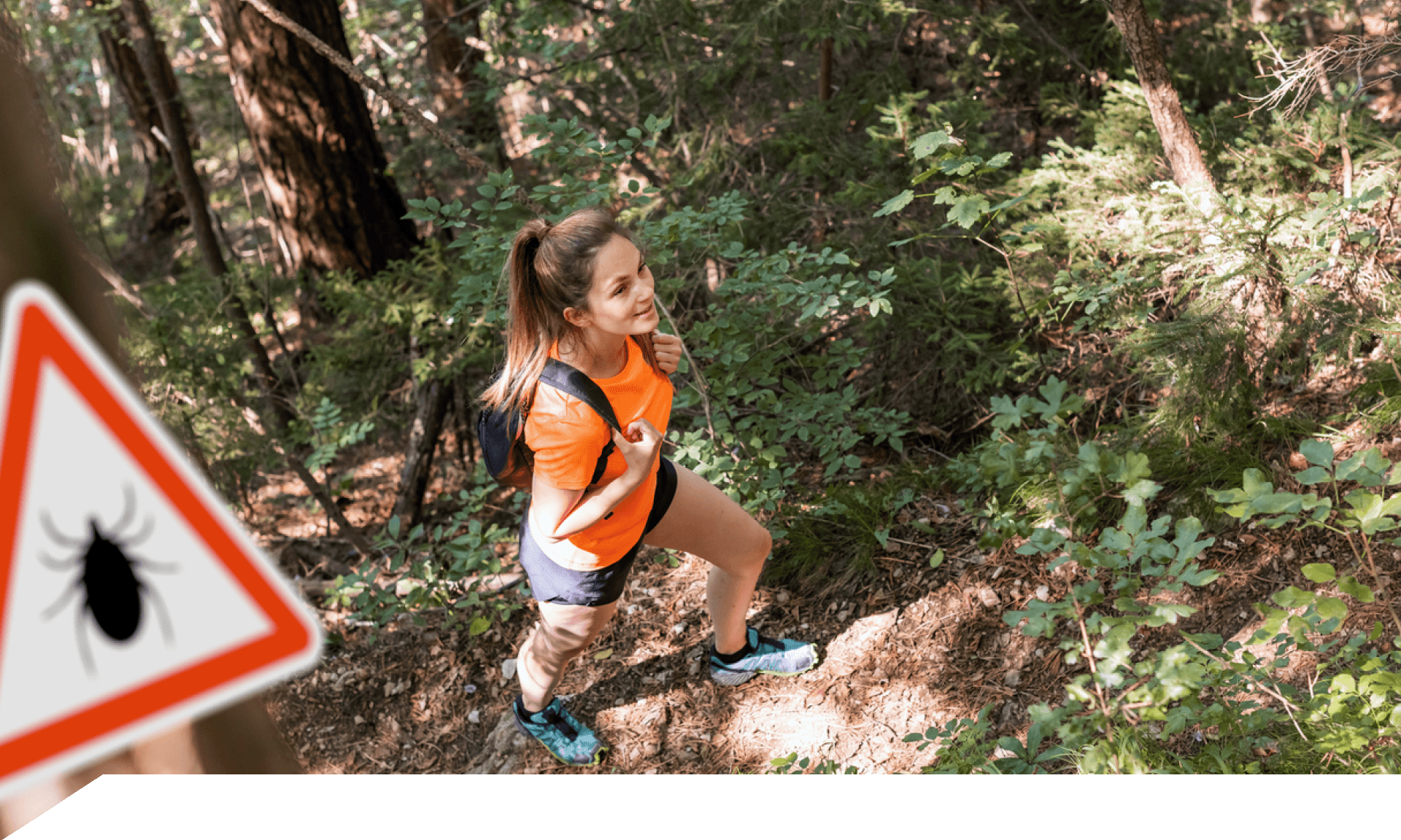 Woman hiking, tick warning sign on the left