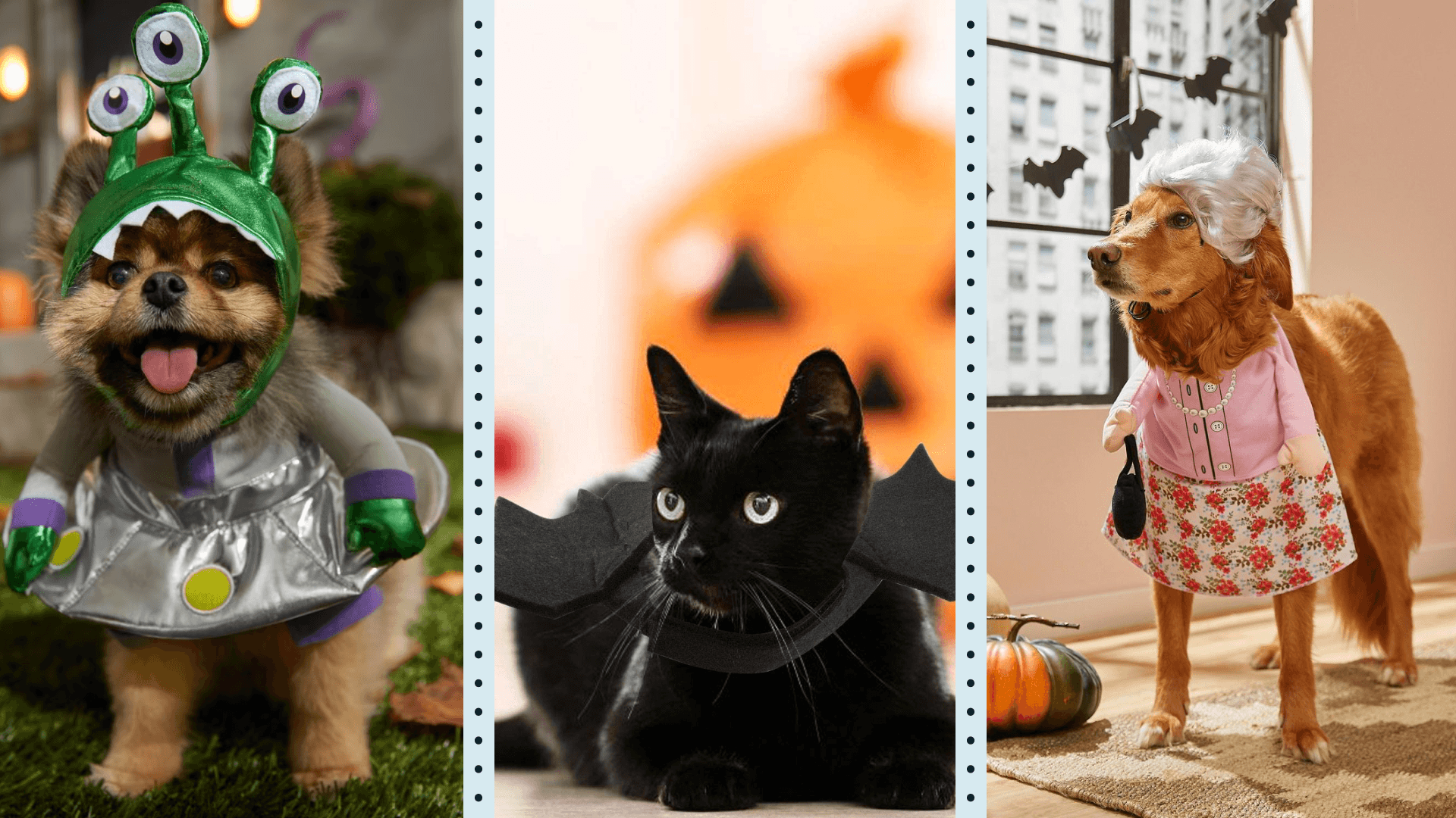 Granny dog costume and UPS dog costume