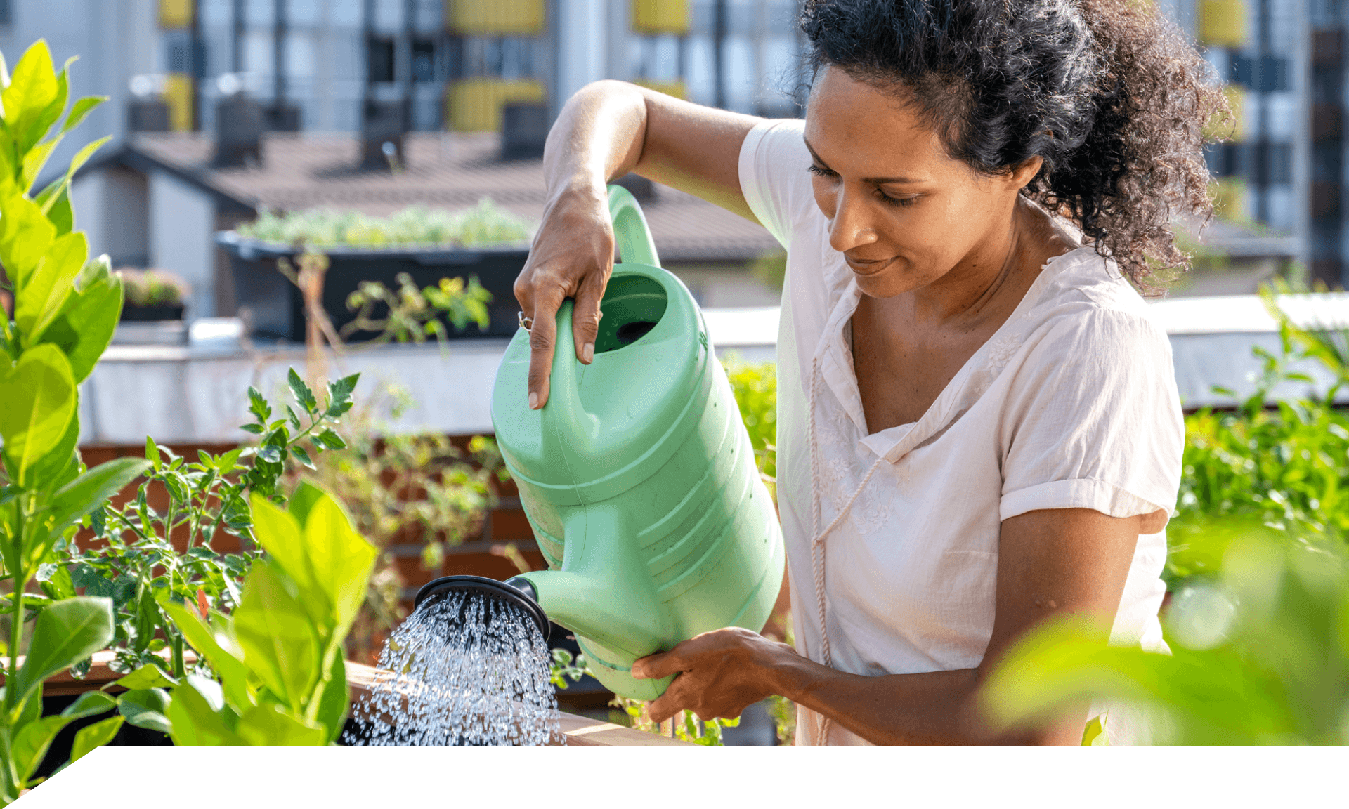 woman watering plants