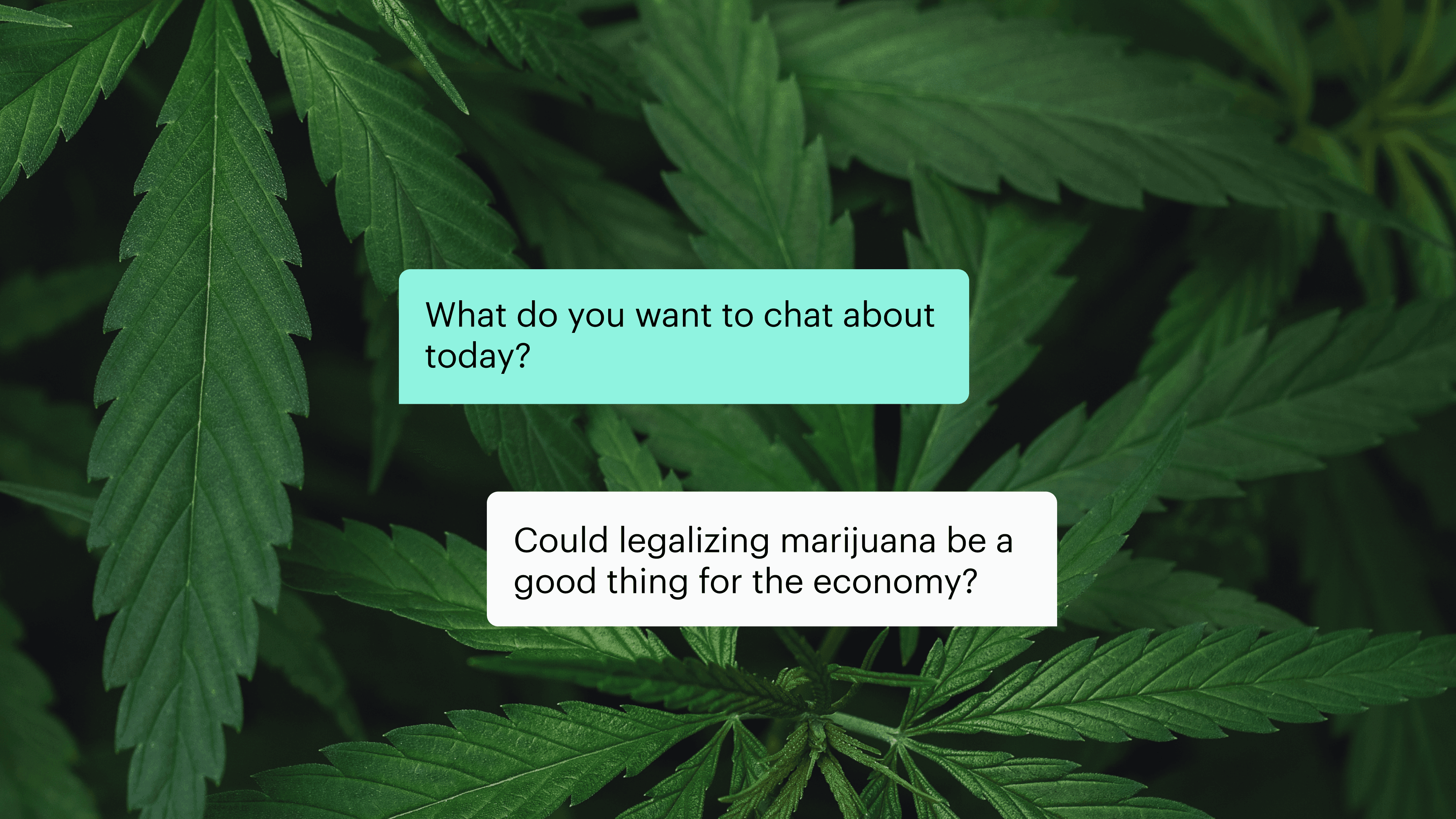 Legalizing Marijuana