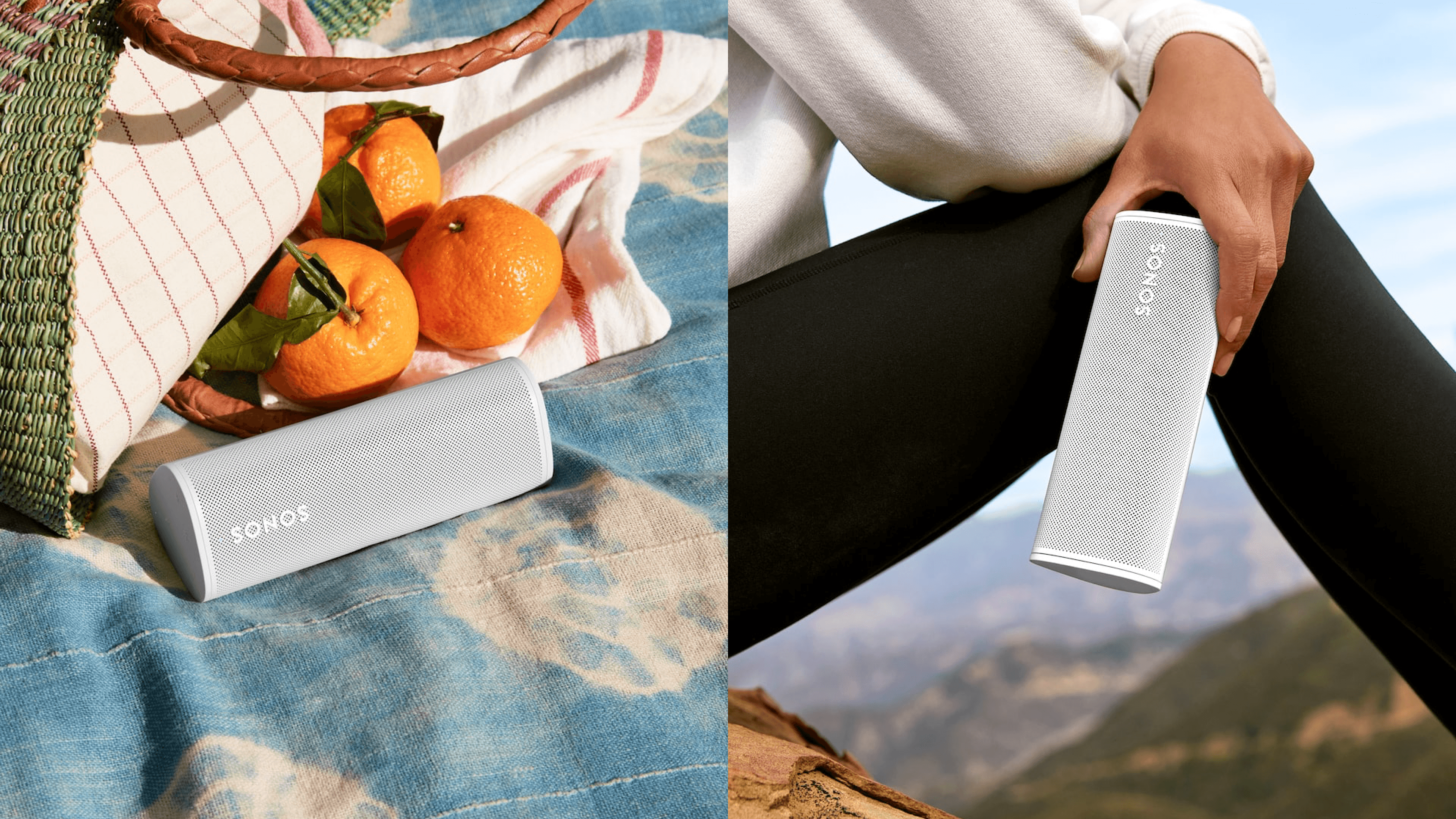 portable wireless speaker