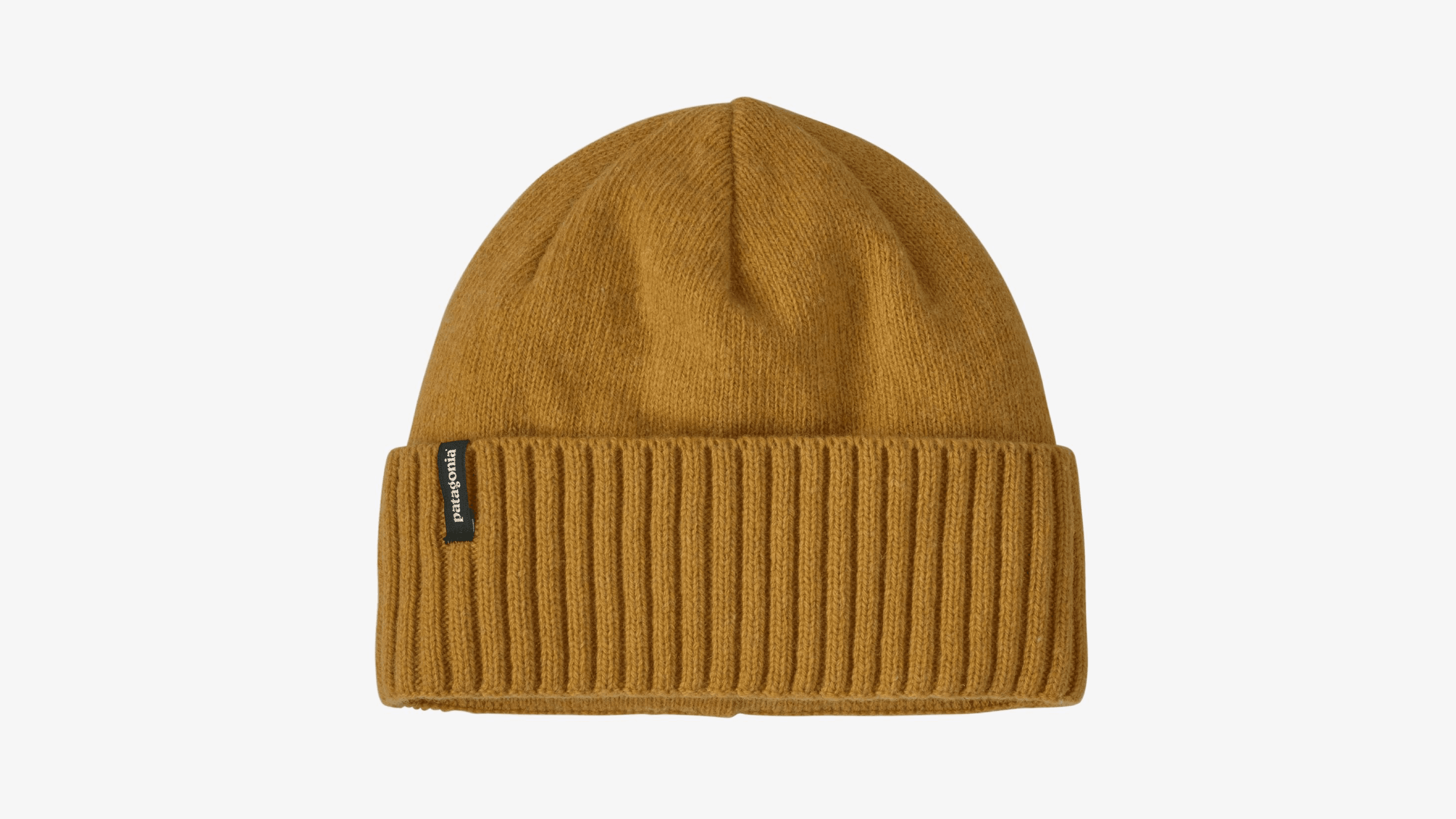 Patagonia Beanie