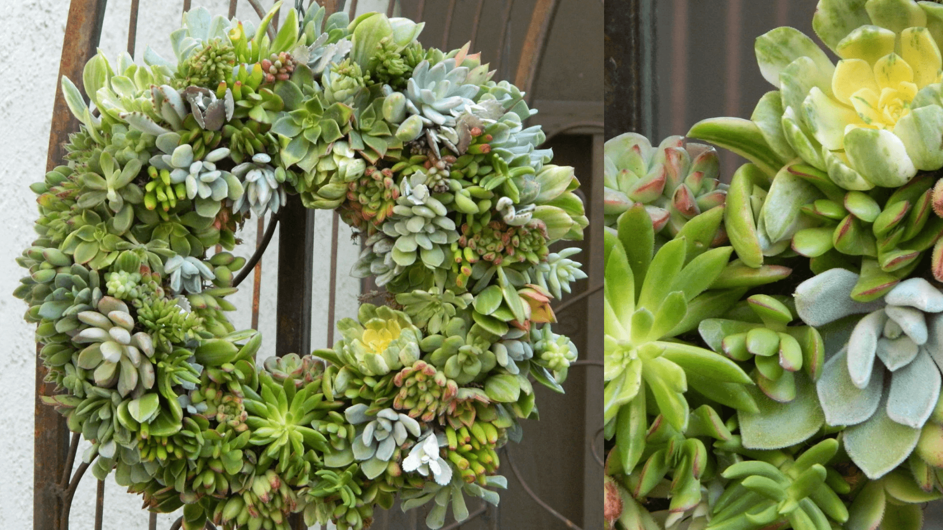 wreath