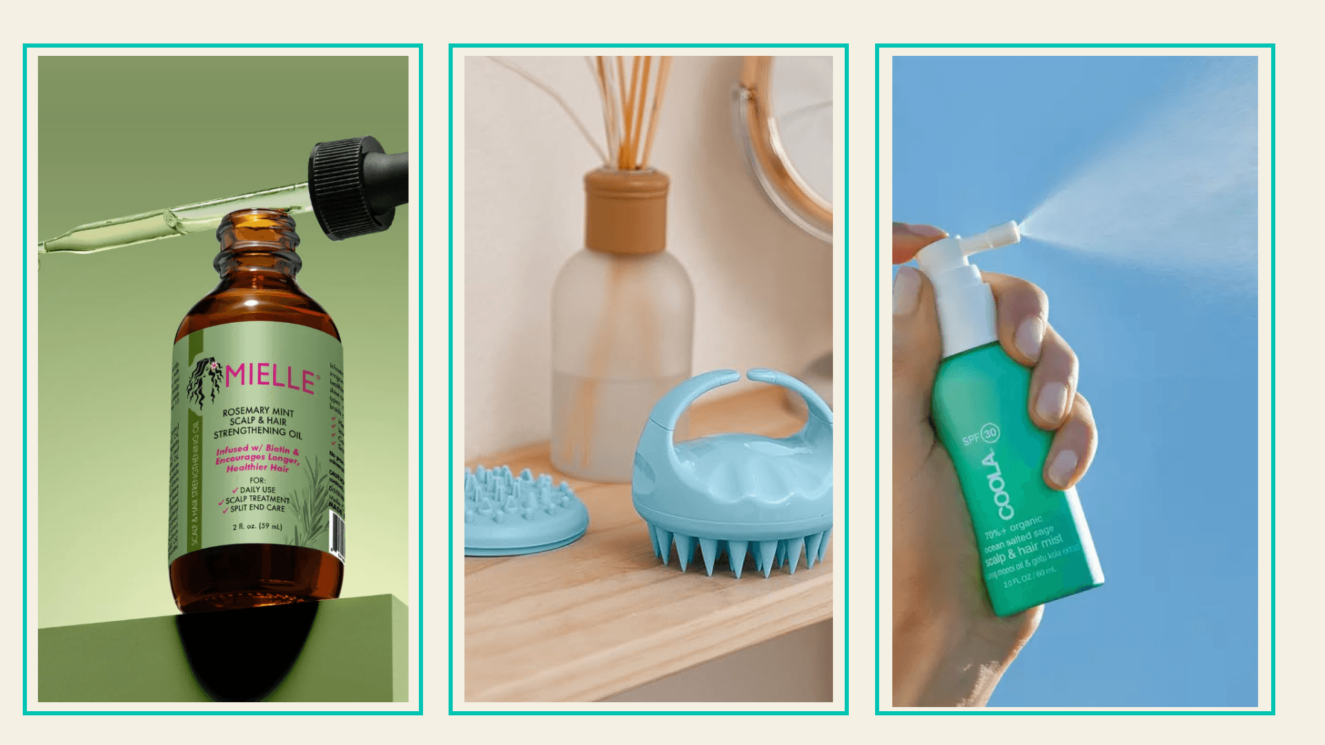 scalp health guide header image