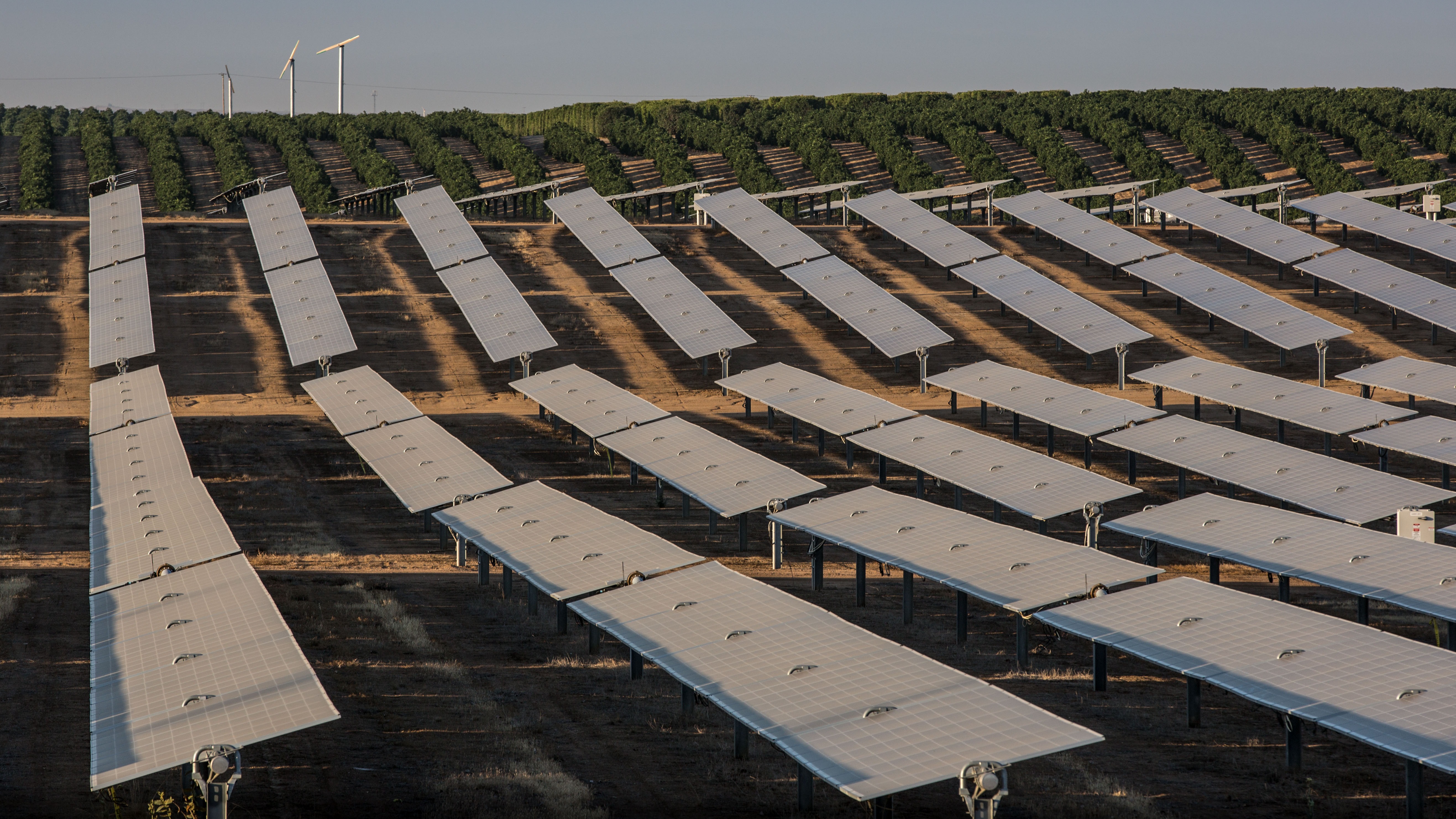 Pistachios and orange groves surround a solar panel array