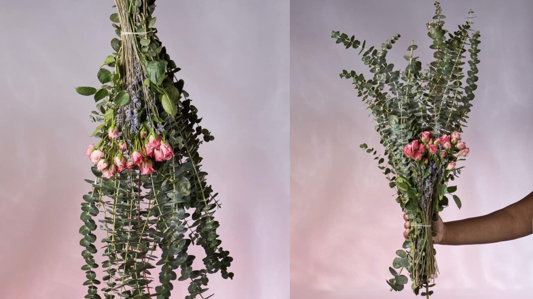 eucalyptus shower steamer