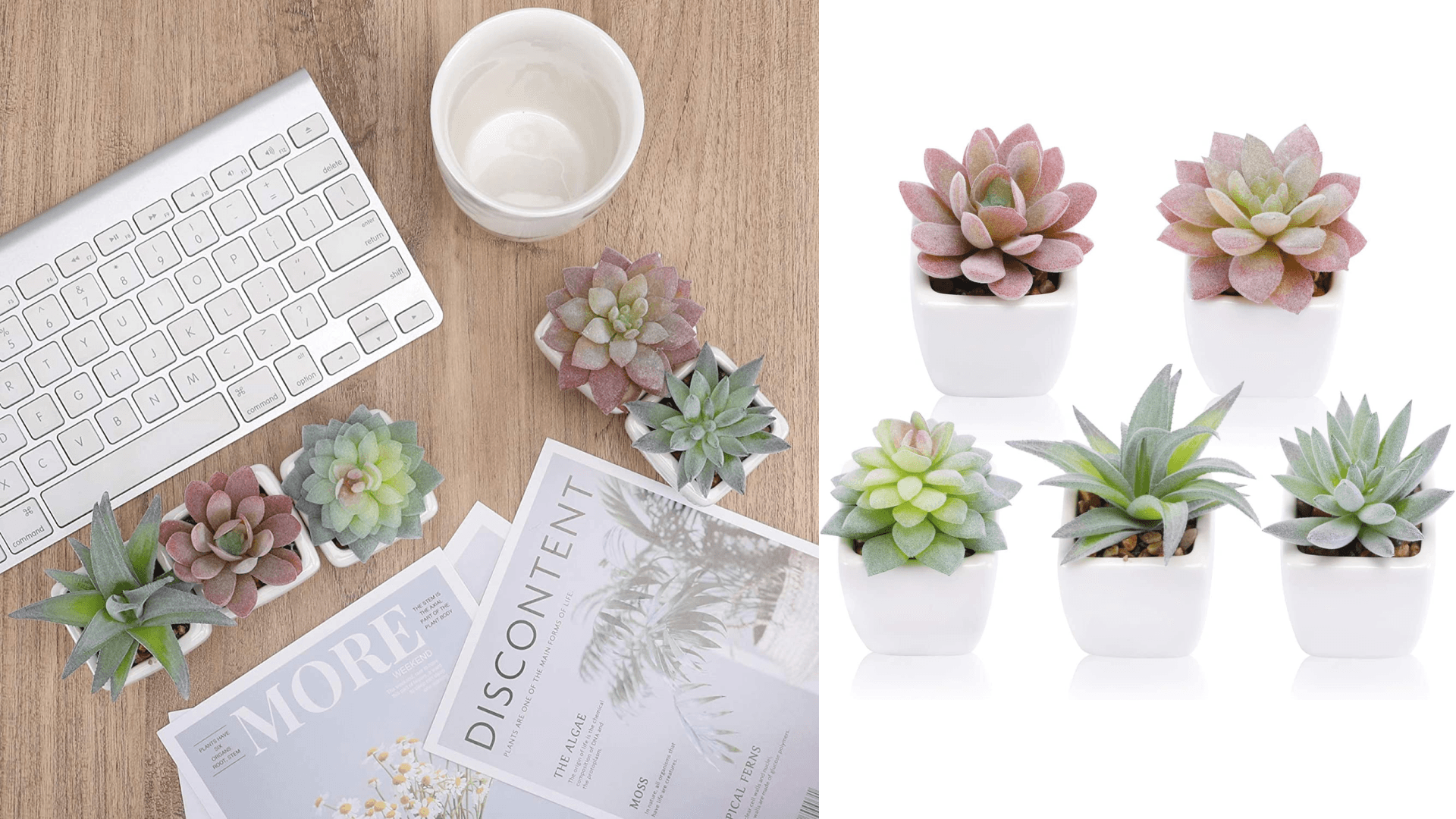 pack of five mini faux succulents