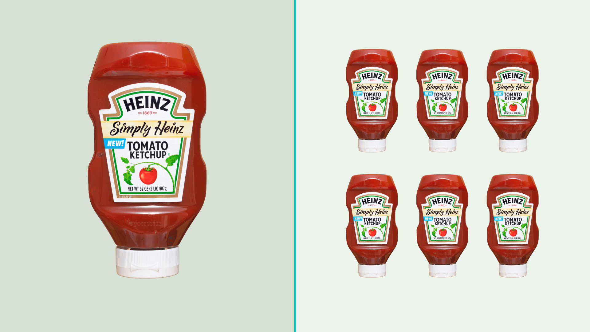Heinz Ketchup Bottles
