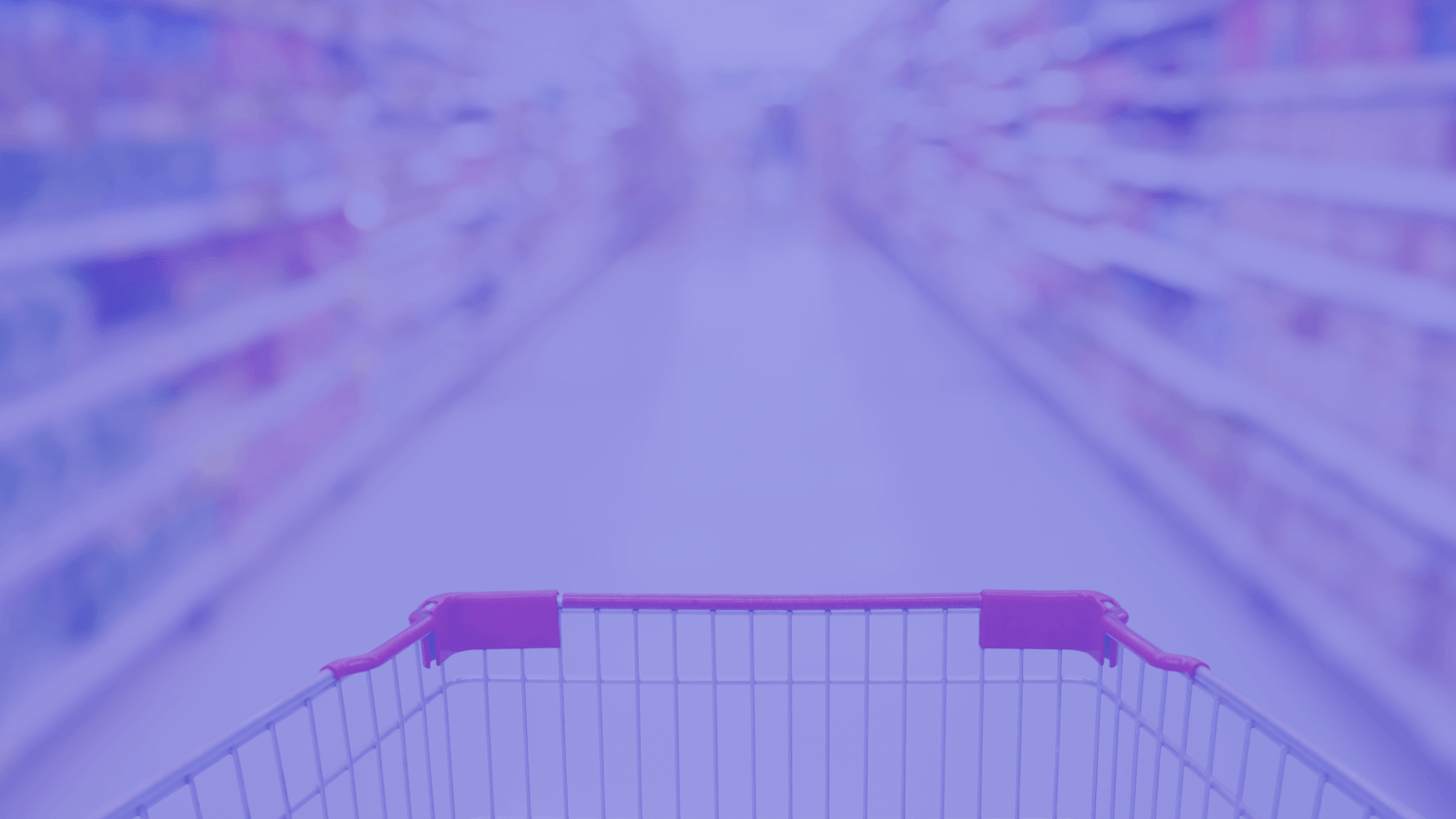 Grocery Shopping Cart