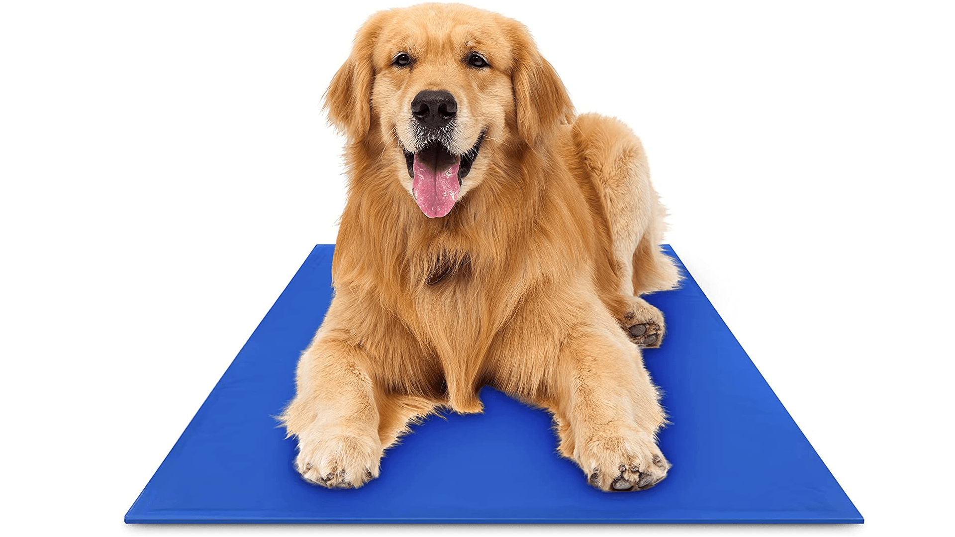 Dog cooling mat