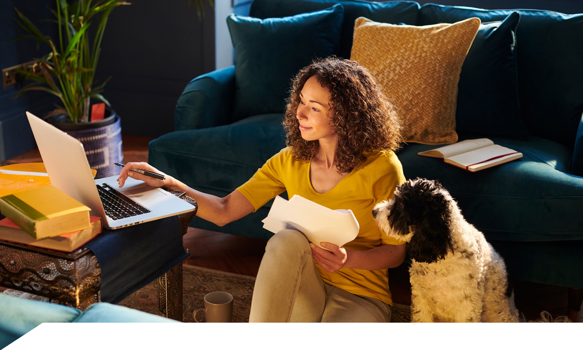 woman looking at laptop with dog