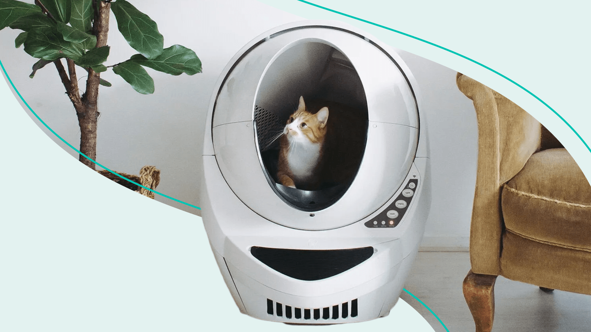 Products to keep your pets healthy